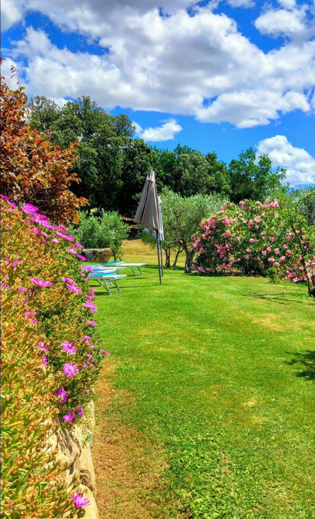 Villa Casolare Il Moro Monte San Savino Exterior foto