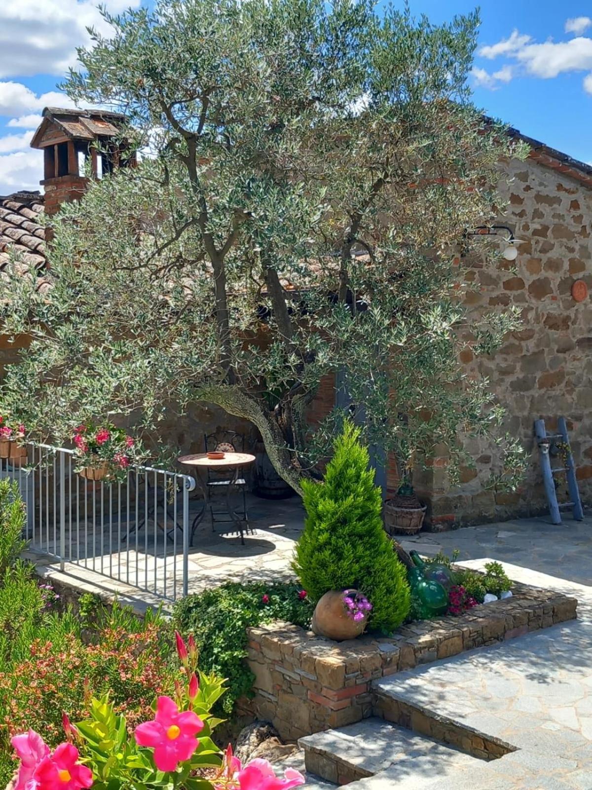 Villa Casolare Il Moro Monte San Savino Exterior foto